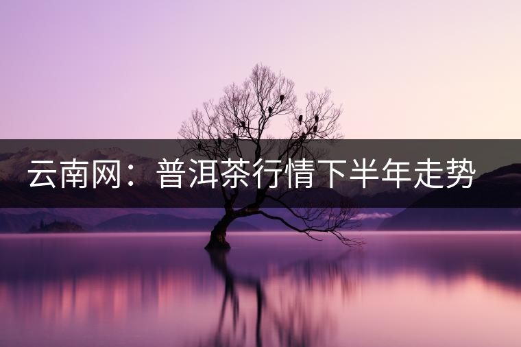 云南網(wǎng):普洱茶行情下半年走勢看好 云南網(wǎng):普洱茶行情下半年走勢看好