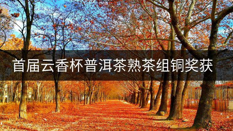 首屆云香杯普洱茶熟茶組銅獎獲獎名單