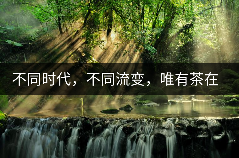 不同時(shí)代，不同流變，唯有茶在傳承