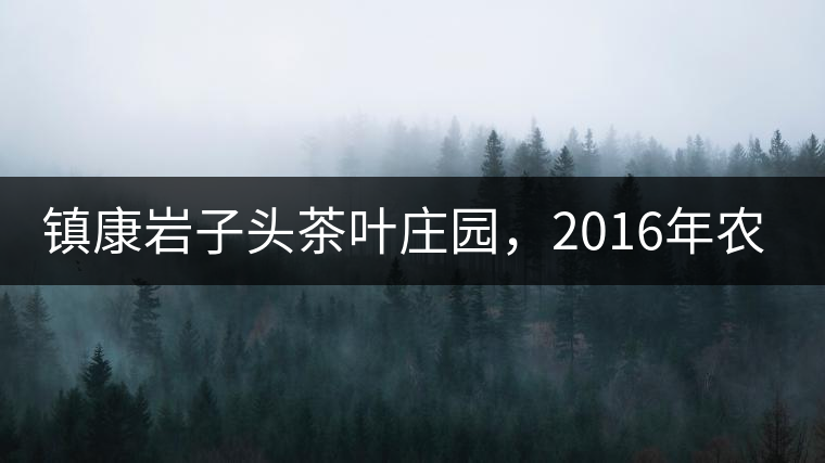 鎮(zhèn)康巖子頭茶葉莊園，2016年農(nóng)業(yè)產(chǎn)值達(dá)6000余萬(wàn)元