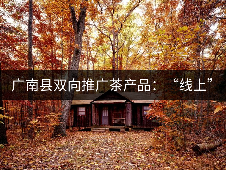 廣南縣雙向推廣茶產(chǎn)品：“線上”銷售茶葉已有100多家，“線下”銷售額已達百萬