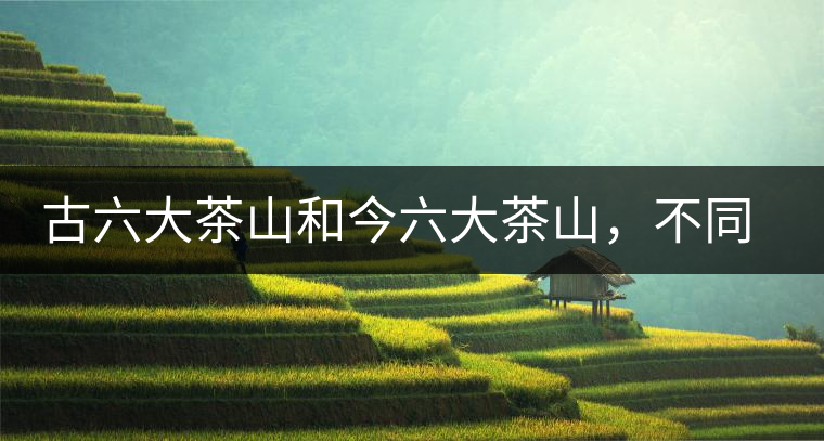 古六大茶山和今六大茶山，不同普洱茶品質(zhì)