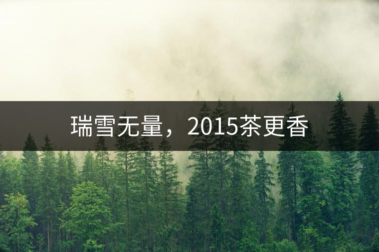 瑞雪無(wú)量，2015茶更香