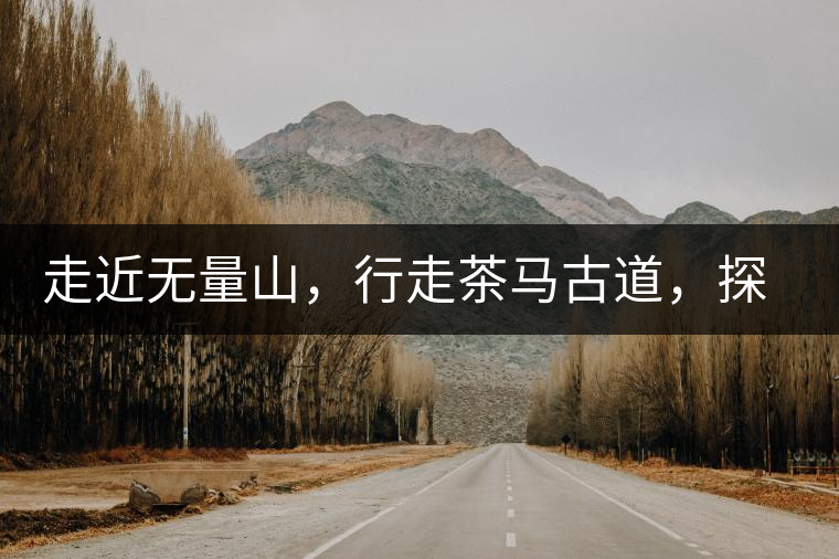 走近無量山，行走茶馬古道，探訪云南千年茶山