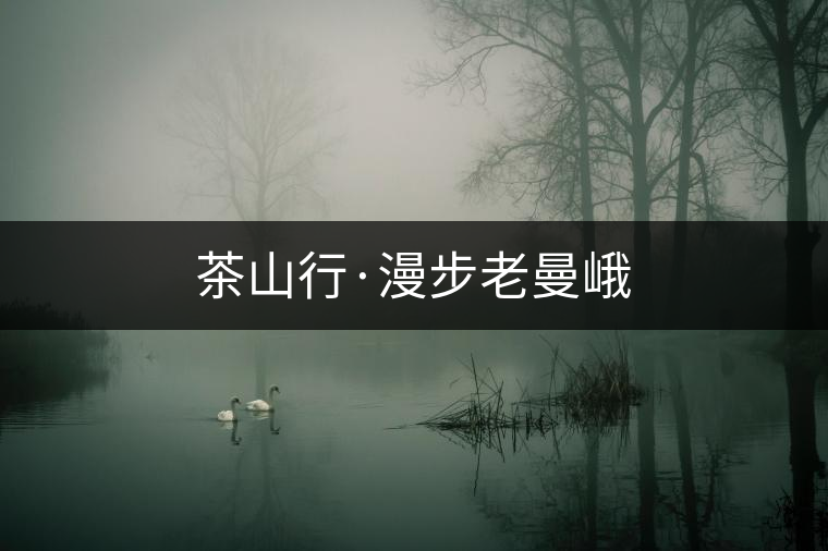 茶山行·漫步老曼峨