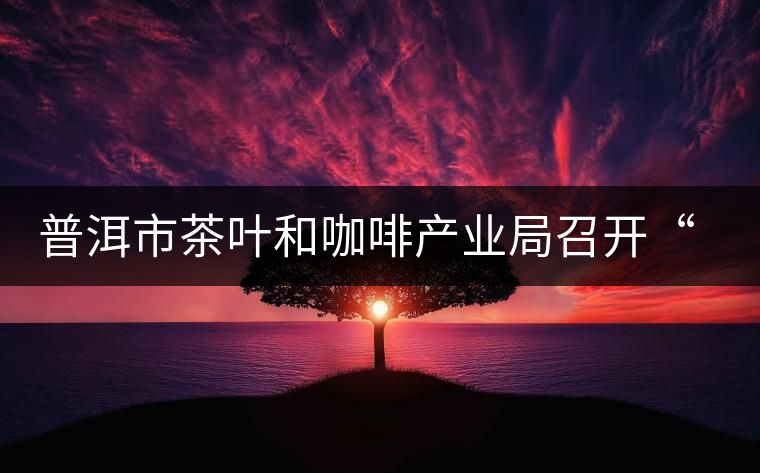 普洱市茶葉和咖啡產(chǎn)業(yè)局召開(kāi)“新三板”培訓(xùn)座談會(huì)