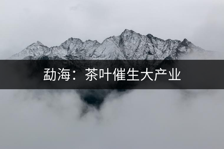 勐海:茶葉催生大產(chǎn)業(yè) 勐海:茶葉催生大產(chǎn)業(yè)