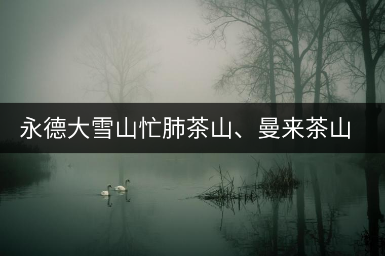 永德大雪山忙肺茶山、曼來(lái)茶山、放牛場(chǎng)茶園的生態(tài)指數(shù)