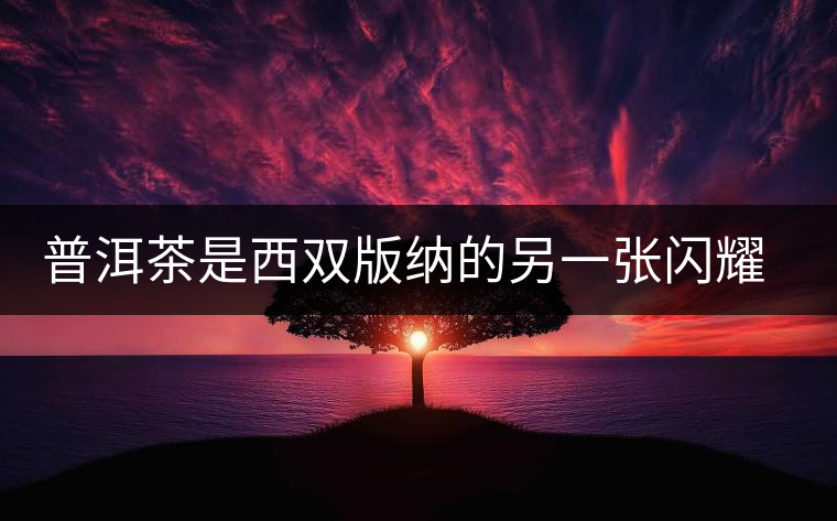 普洱茶是西雙版納的另一張閃耀的名片