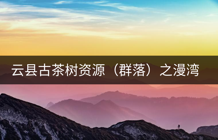 云縣古茶樹資源（群落）之漫灣鎮(zhèn)、茂蘭鎮(zhèn)大丙山