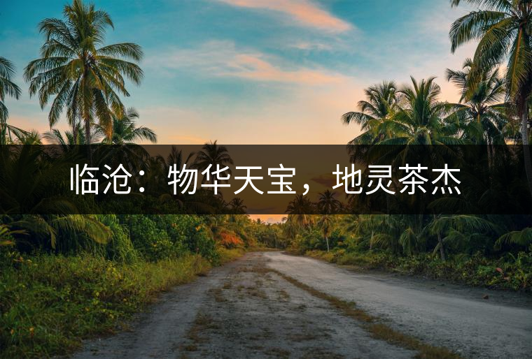 臨滄：物華天寶，地靈茶杰