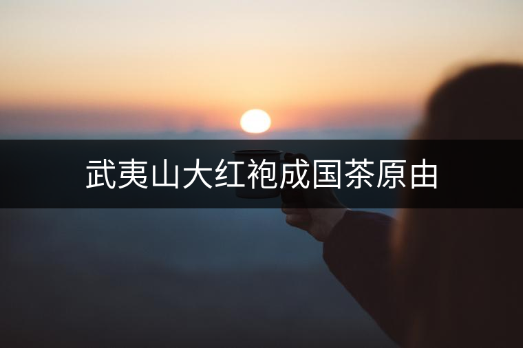 武夷山大紅袍成國茶原由