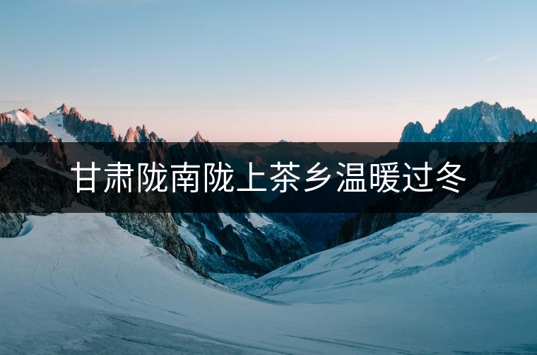 甘肅隴南隴上茶鄉(xiāng)溫暖過冬 甘肅隴南隴上茶鄉(xiāng)溫暖過冬