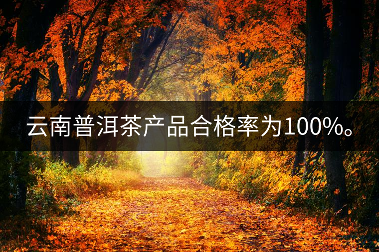 云南普洱茶產(chǎn)品合格率為100%。