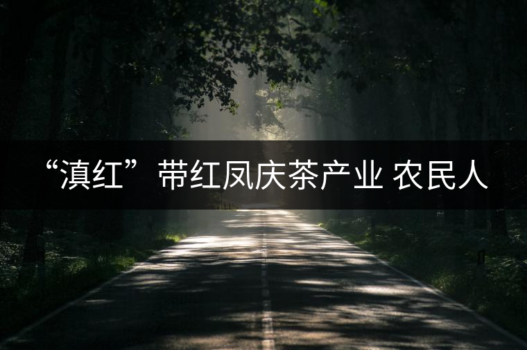 “滇紅”帶紅鳳慶茶產(chǎn)業(yè) 農(nóng)民人均收入1050元