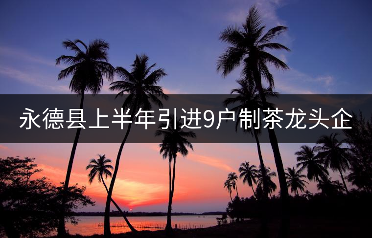 永德縣上半年引進9戶制茶龍頭企業(yè)