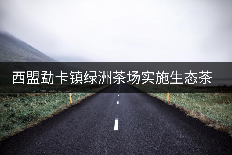 西盟勐卡鎮(zhèn)綠洲茶場實(shí)施生態(tài)茶園改造見效益