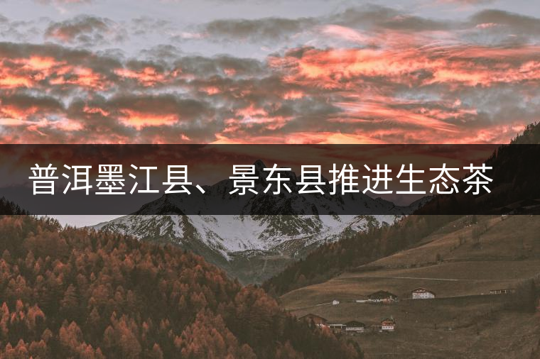 普洱墨江縣、景東縣推進(jìn)生態(tài)茶園建設(shè)