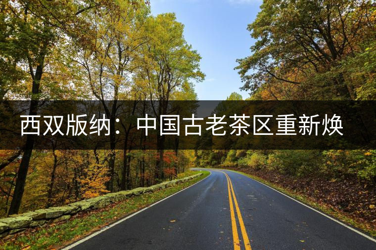 西雙版納：中國古老茶區(qū)重新煥發(fā)活力