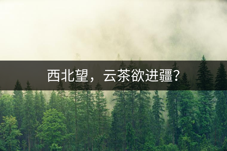 西北望，云茶欲進(jìn)疆？