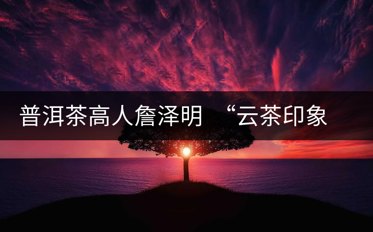 普洱茶高人詹澤明 “云茶印象”品茶悟茶道 普洱茶高人詹澤明 “云茶印象”品茶悟茶道