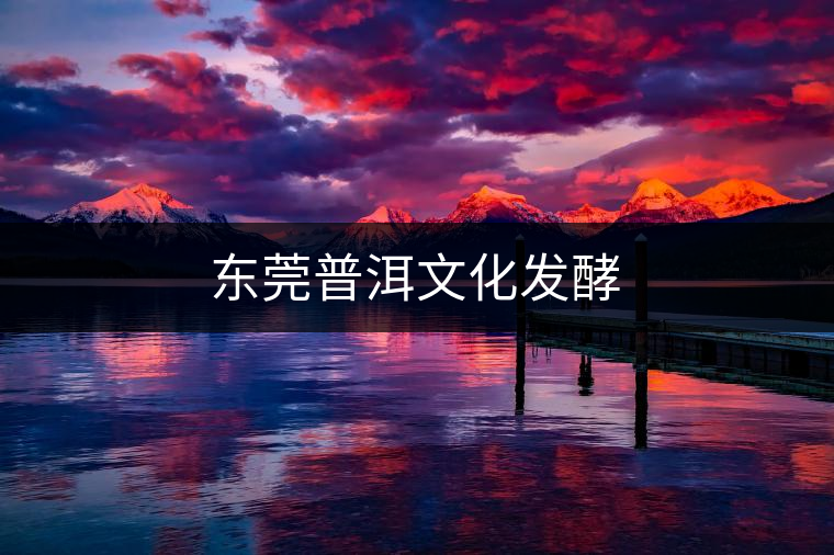 東莞普洱文化發(fā)酵 東莞普洱文化發(fā)酵