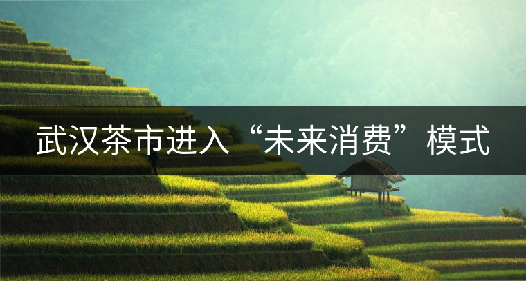 武漢茶市進(jìn)入“未來消費(fèi)”模式 武漢茶市進(jìn)入“未來消費(fèi)”模式