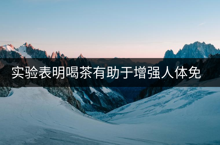 實驗表明喝茶有助于增強(qiáng)人體免疫力