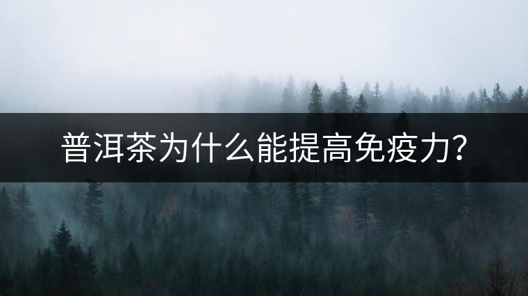 普洱茶為什么能提高免疫力？