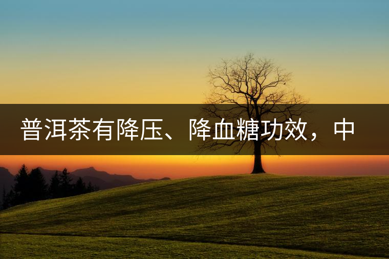 普洱茶有降壓、降血糖功效，中老年人不再懼怕糖尿病