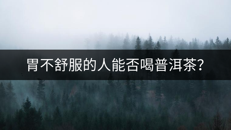 胃不舒服的人能否喝普洱茶？