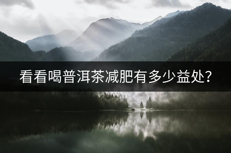 看看喝普洱茶減肥有多少益處？