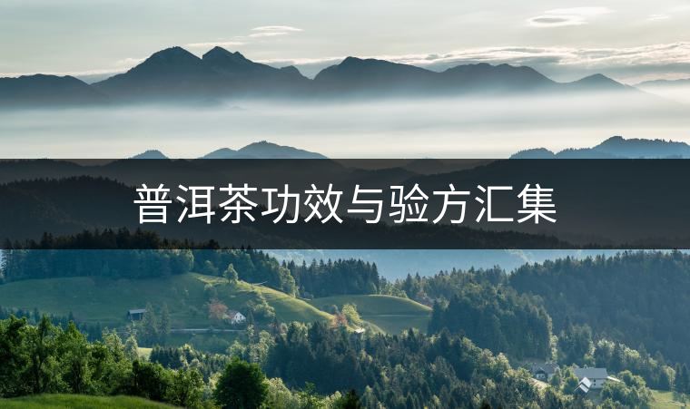 普洱茶功效與驗(yàn)方匯集 普洱茶功效與驗(yàn)方匯集