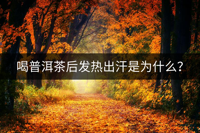 喝普洱茶后發(fā)熱出汗是為什么？