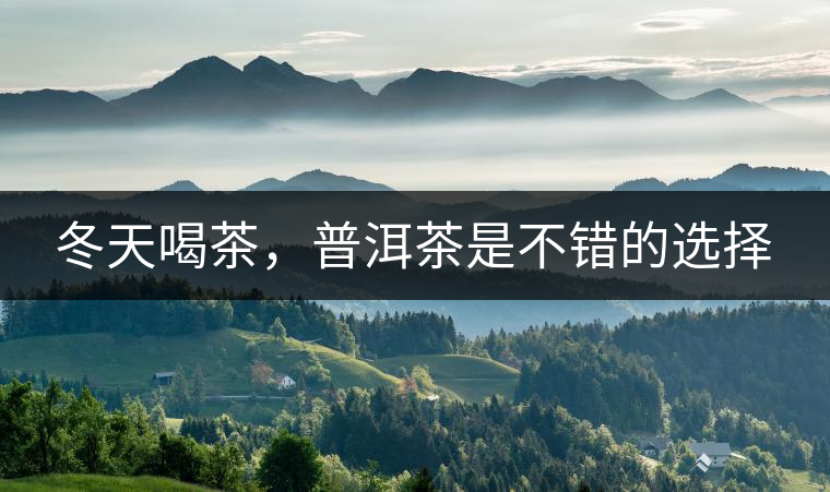 冬天喝茶，普洱茶是不錯的選擇