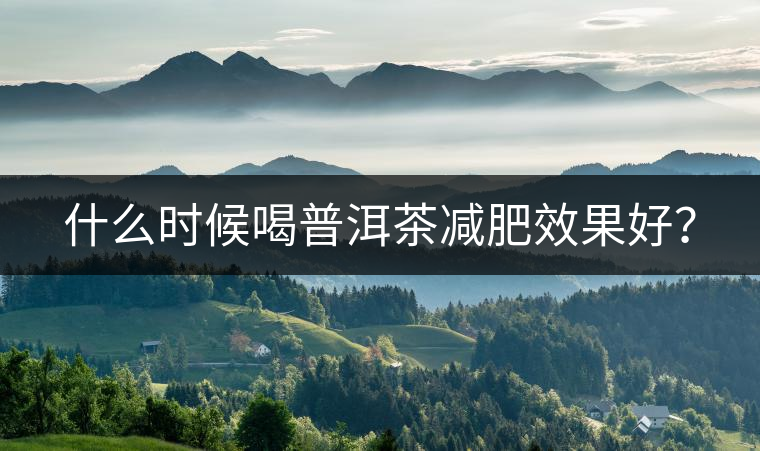 什么時(shí)候喝普洱茶減肥效果好？