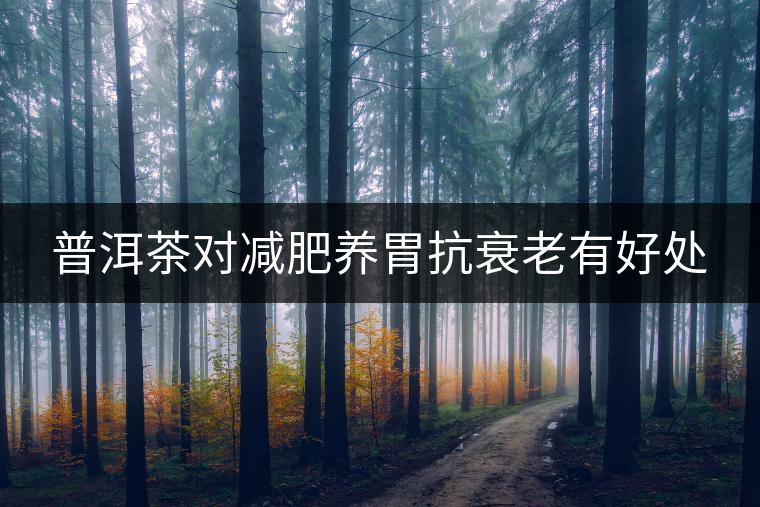 普洱茶對減肥養(yǎng)胃抗衰老有好處