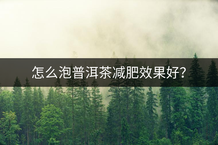 怎么泡普洱茶減肥效果好？