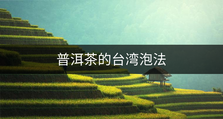 普洱茶的臺(tái)灣泡法 普洱茶的臺(tái)灣泡法