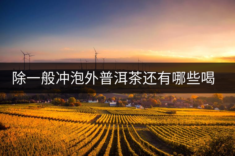 除一般沖泡外普洱茶還有哪些喝法？