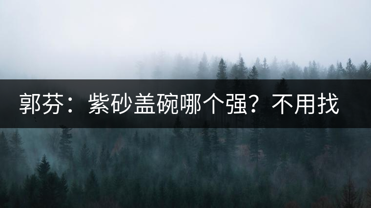 郭芬：紫砂蓋碗哪個(gè)強(qiáng)？不用找藍(lán)翔