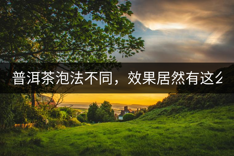 普洱茶泡法不同，效果居然有這么大區(qū)別！