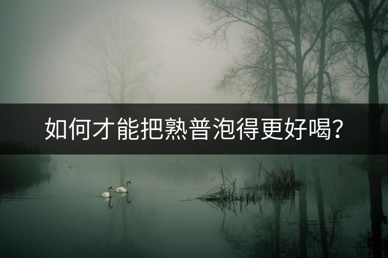 如何才能把熟普泡得更好喝？