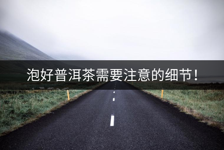泡好普洱茶需要注意的細(xì)節(jié)！