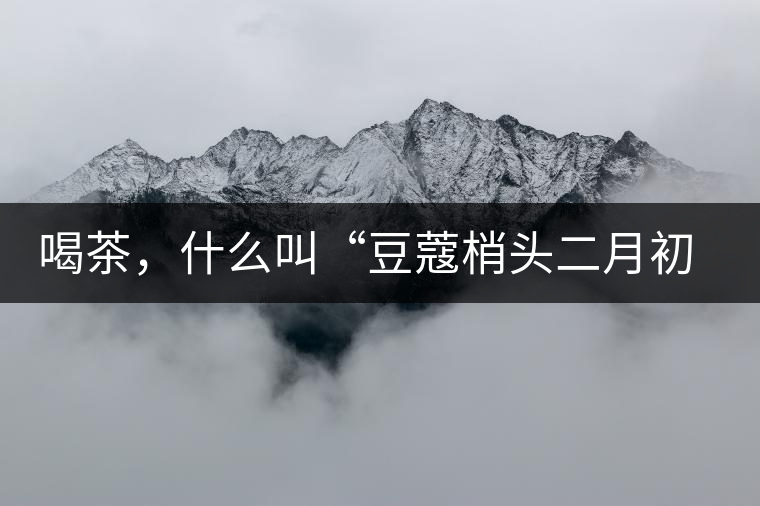 喝茶，什么叫“豆蔻梢頭二月初”？
