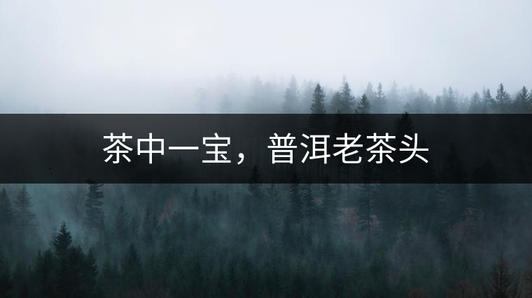 茶中一寶，普洱老茶頭