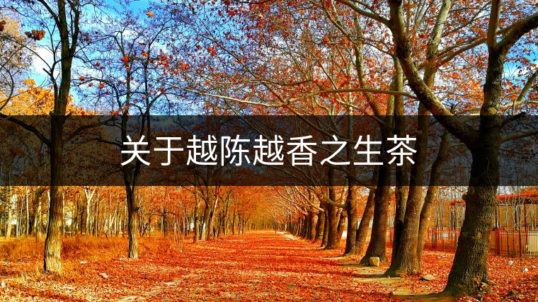 關(guān)于越陳越香之生茶 關(guān)于越陳越香之生茶