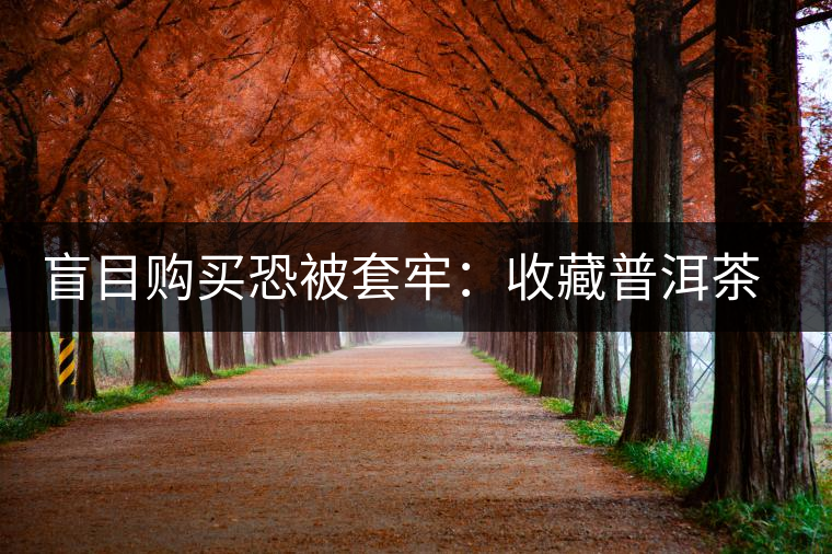 盲目購買恐被套牢：收藏普洱茶首先得好喝