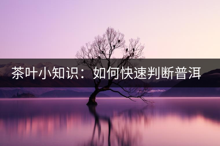 茶葉小知識(shí)：如何快速判斷普洱茶品級(jí)高低？