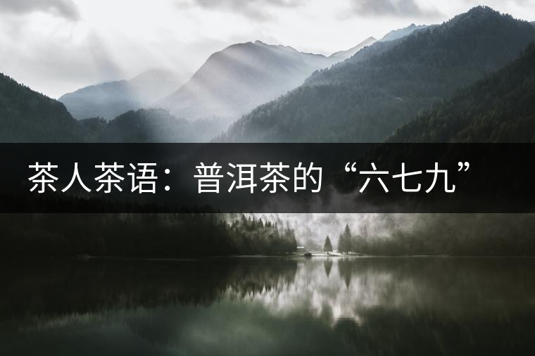 茶人茶語(yǔ)：普洱茶的“六七九” 你知道嗎？